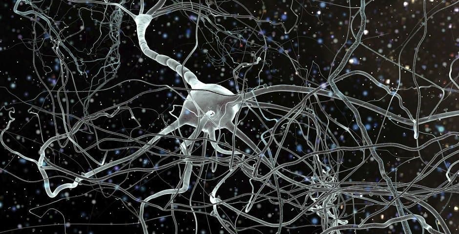 Juliana Kele-Olovsson forskar om traumatisk hjärnskada och stamceller