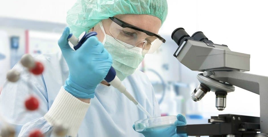 Forskare sitter vid ett mikroskop och arbetar.