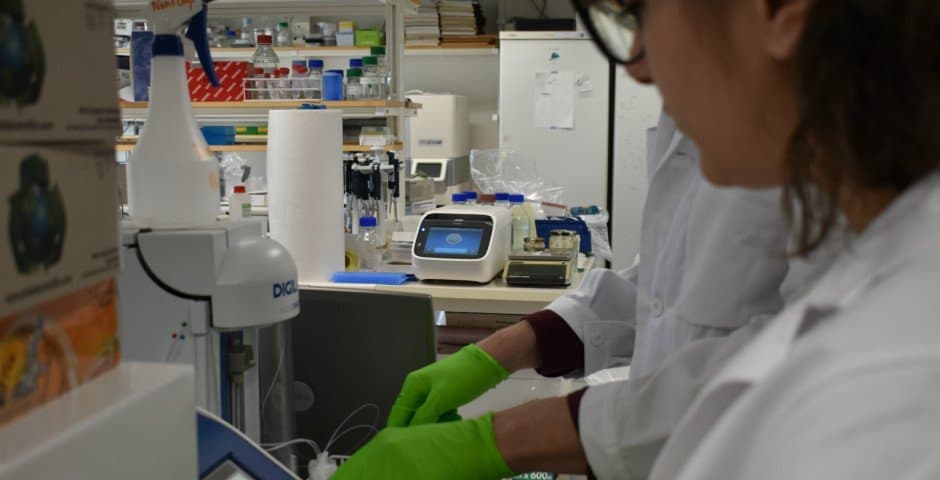 Två forskare arbetar i ett labb.