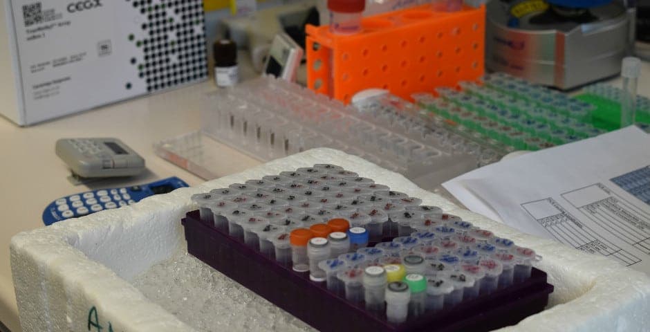 Labmiljö med provrör i behållare.