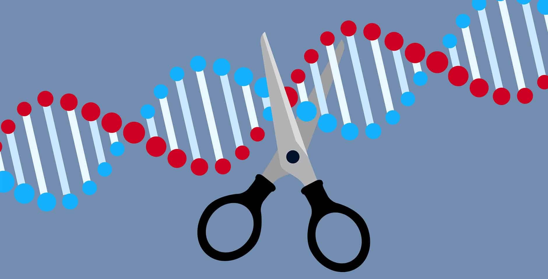 Illustration av en sax som klipper en DNA sträng.