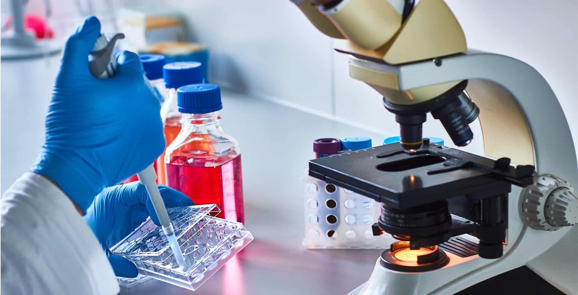 Forskare pipetterar celler vid ett mikroskop.