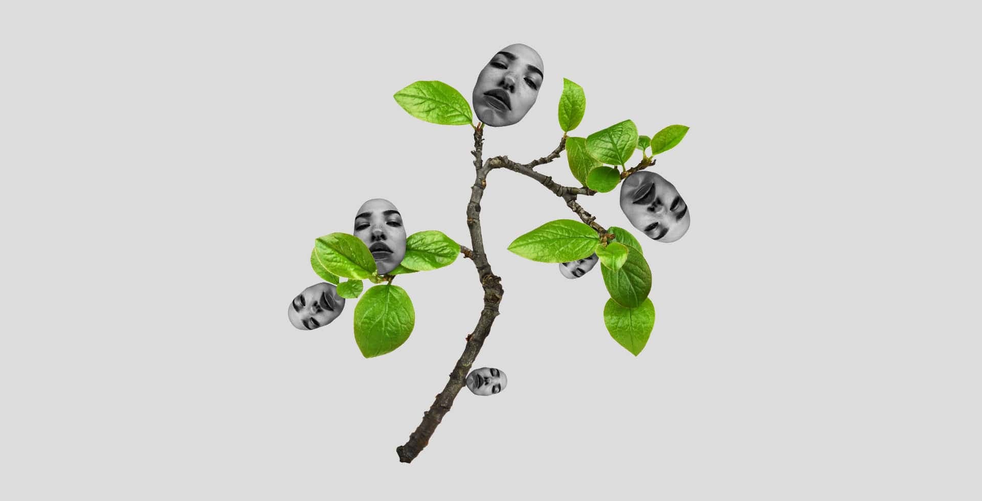 Ett kollage med en kvist med gröna blad där vissa ersätts av ett kvinnligt ansikte.