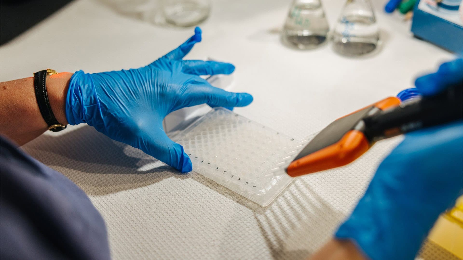 Person hanterar en mikroplatta i ett laboratorium.