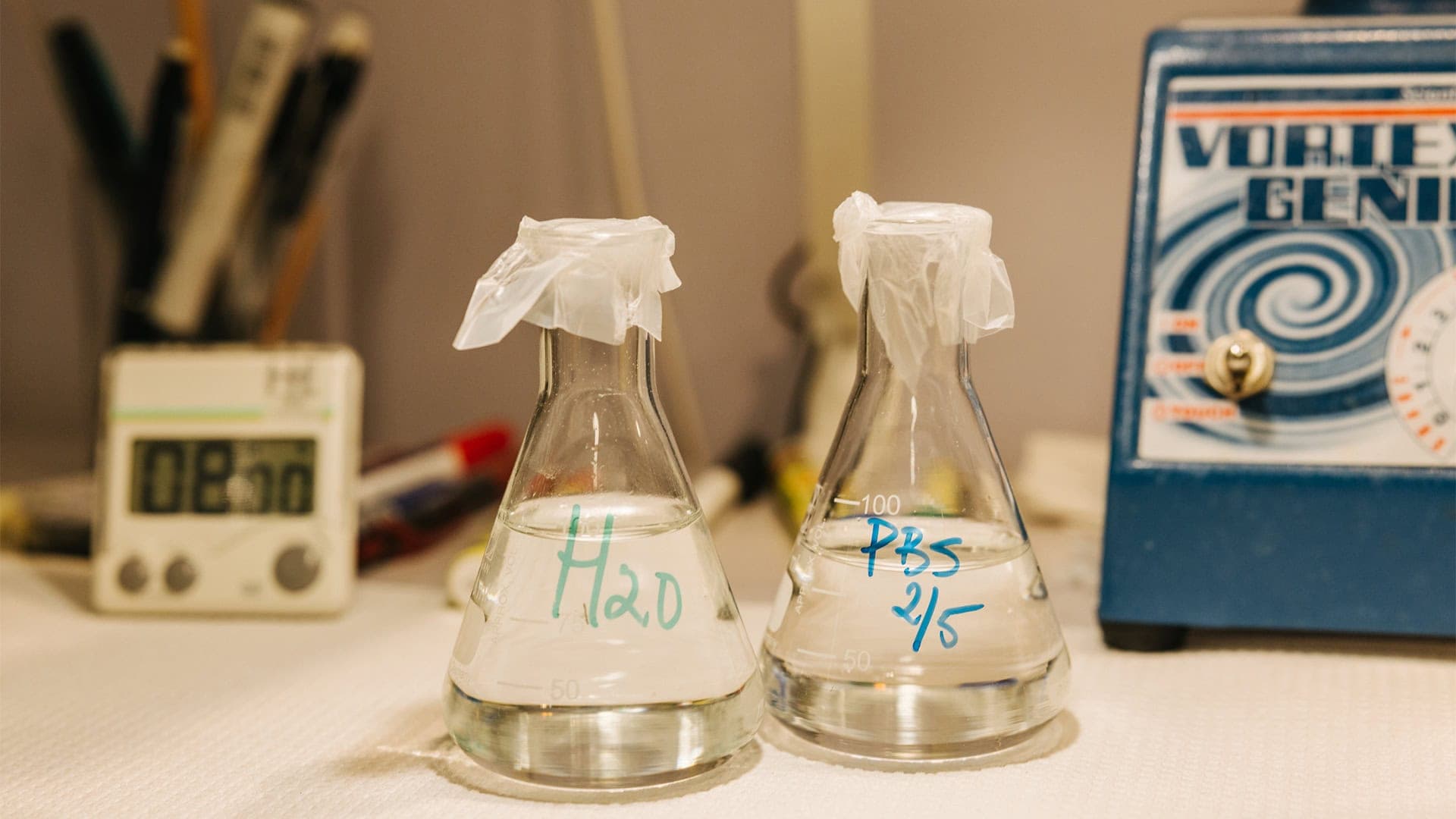 Två laboratoriekolvar med vätska märkta H2O och PBS på ett labbbord.