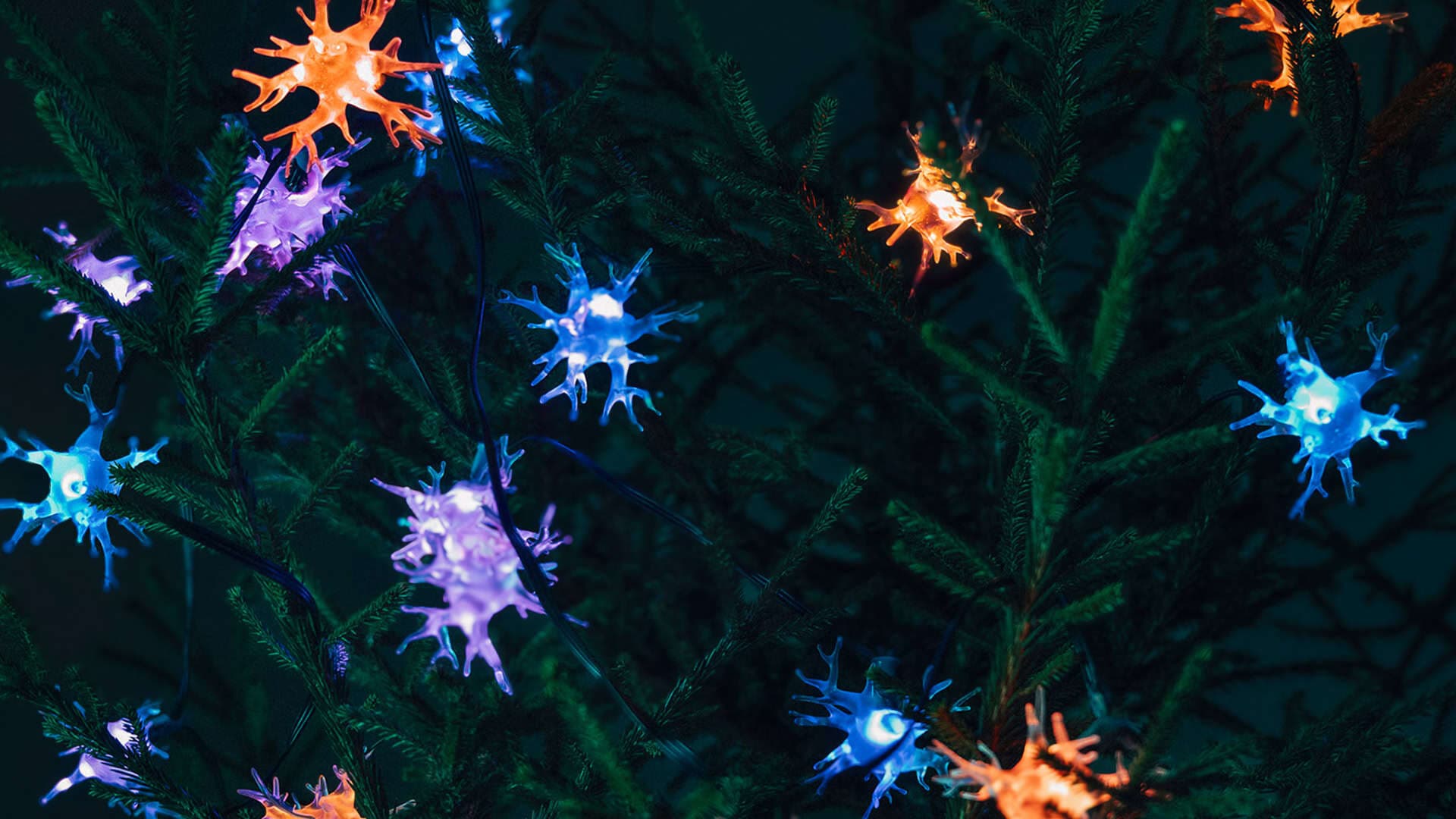 Tre nervceller med förgreningar som lyser upp olika färger (rött, lila, blått) och sitter i en gran.